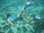 shinfin snorkeling fins: Safe, comfortable snorkeling equipment